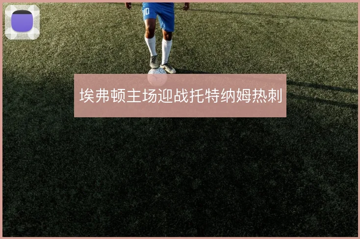 埃弗顿主场迎战托特纳姆热刺
