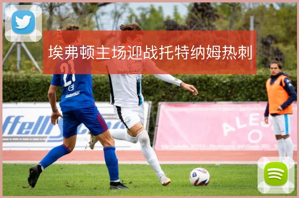 埃弗顿主场迎战托特纳姆热刺