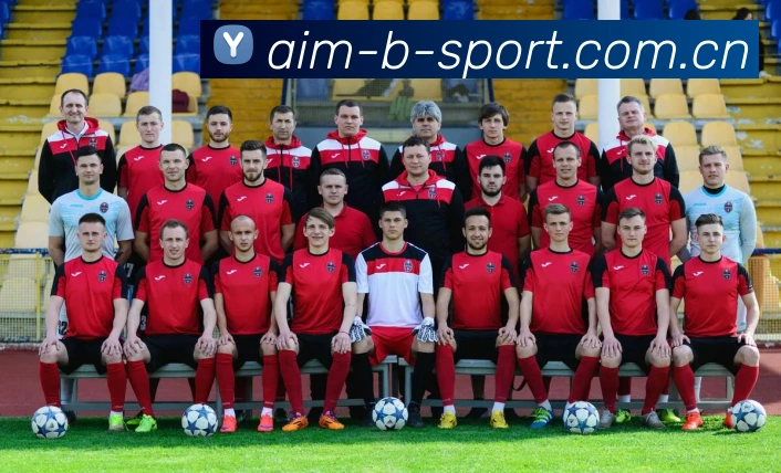 AI Risk Control